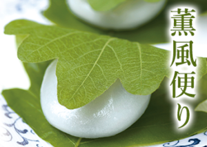 薫風便り