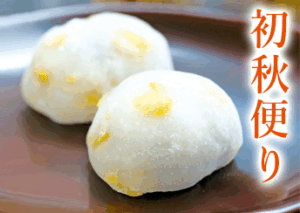 宮崎のつきいれ餅の金城堂