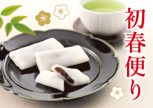 宮崎のつきいれ餅の金城堂