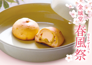 宮崎のつきいれ餅の金城堂